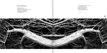 gatefold vinyl
