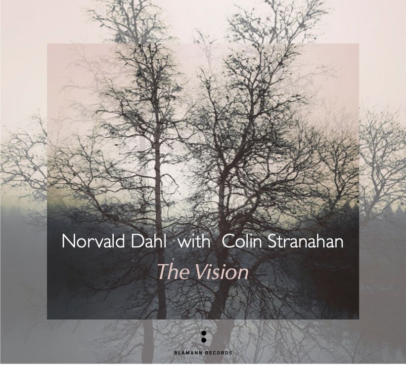 The Vision - CD
