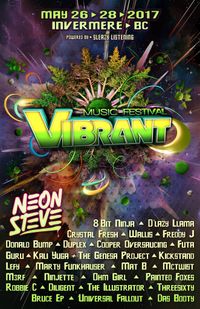 Vibrant Music Festival 2017