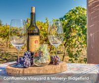 Confluence Winery Wine Club Party