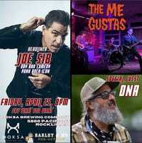Joe Sib / The Me Gustas / DNA