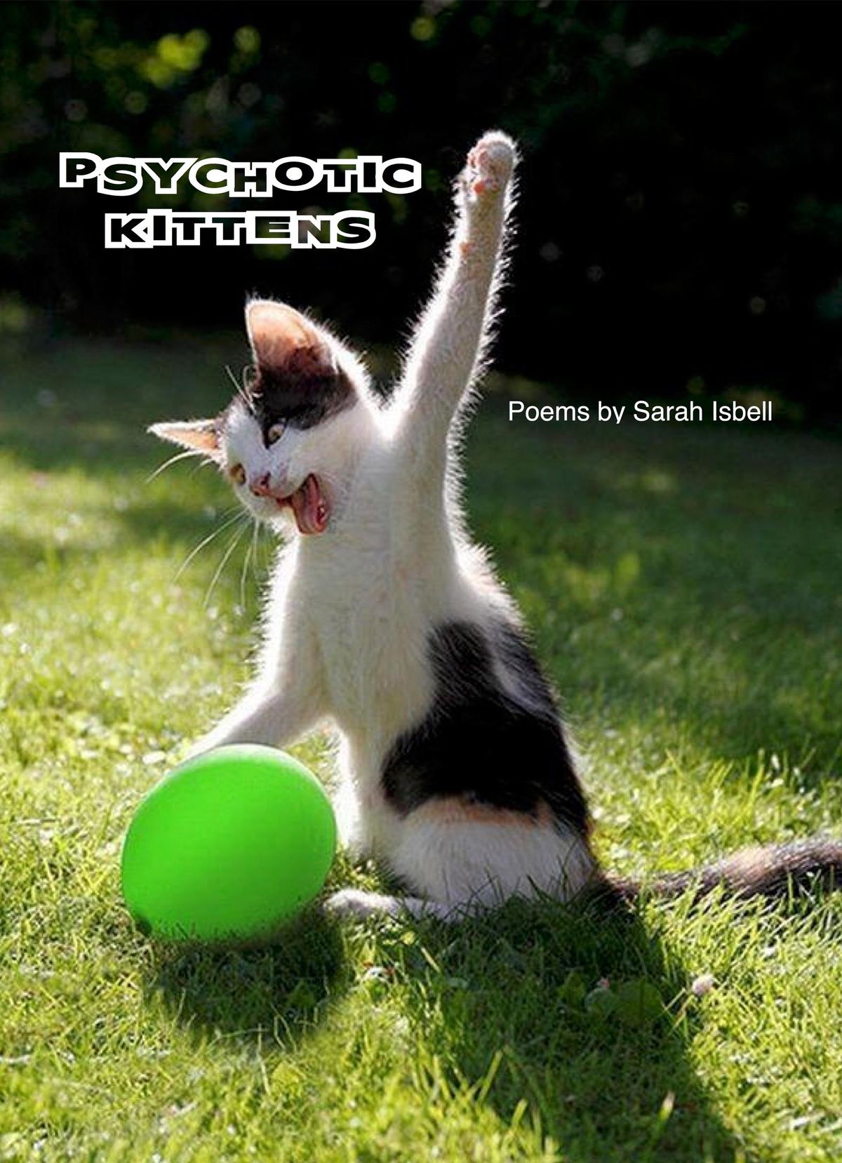 NEW! Psychotic Kittens (ebook/PDF download only)