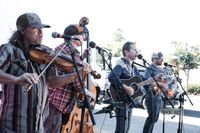 High Pine Whiskey Yell - Highlands Hollow Brewhouse