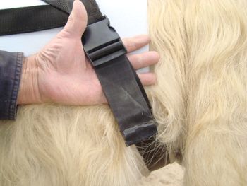 Snug whole hand fit
