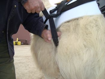 grab cinch and hold snug in place
