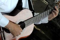 'Classical' guitar at the 2014 East Row Garden Walk! 