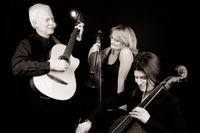 Private event- wedding -  Newburg Trio