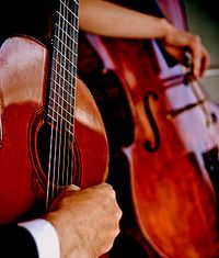 Private event- wedding- Newburg Duo