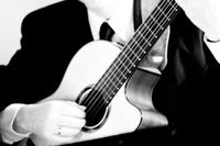 private event- wedding- solo guitar