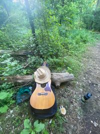 Rainbow Gathering 