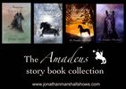 Amadeus story book collection