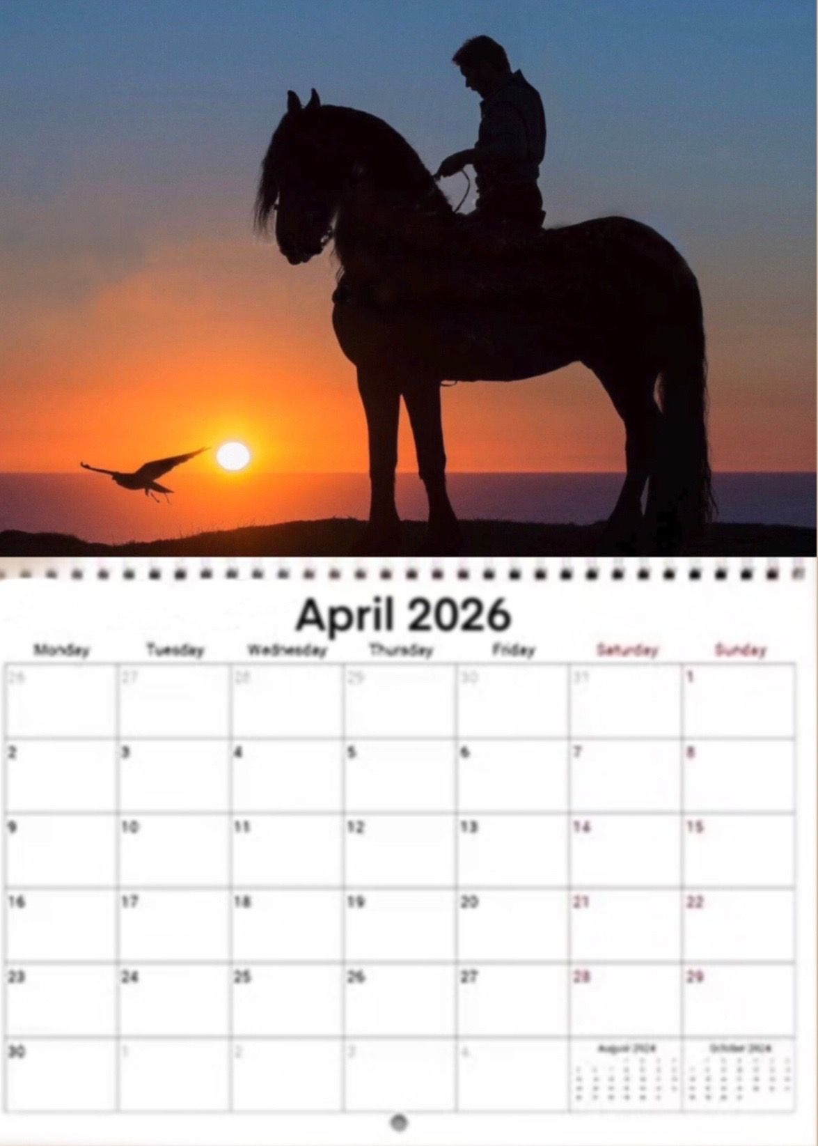 2026 Free Spirits Calendar