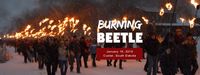 Humbletown Live at The Burning Beetle Festival 