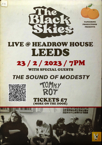 The Black Skies - Live @ Headrow House