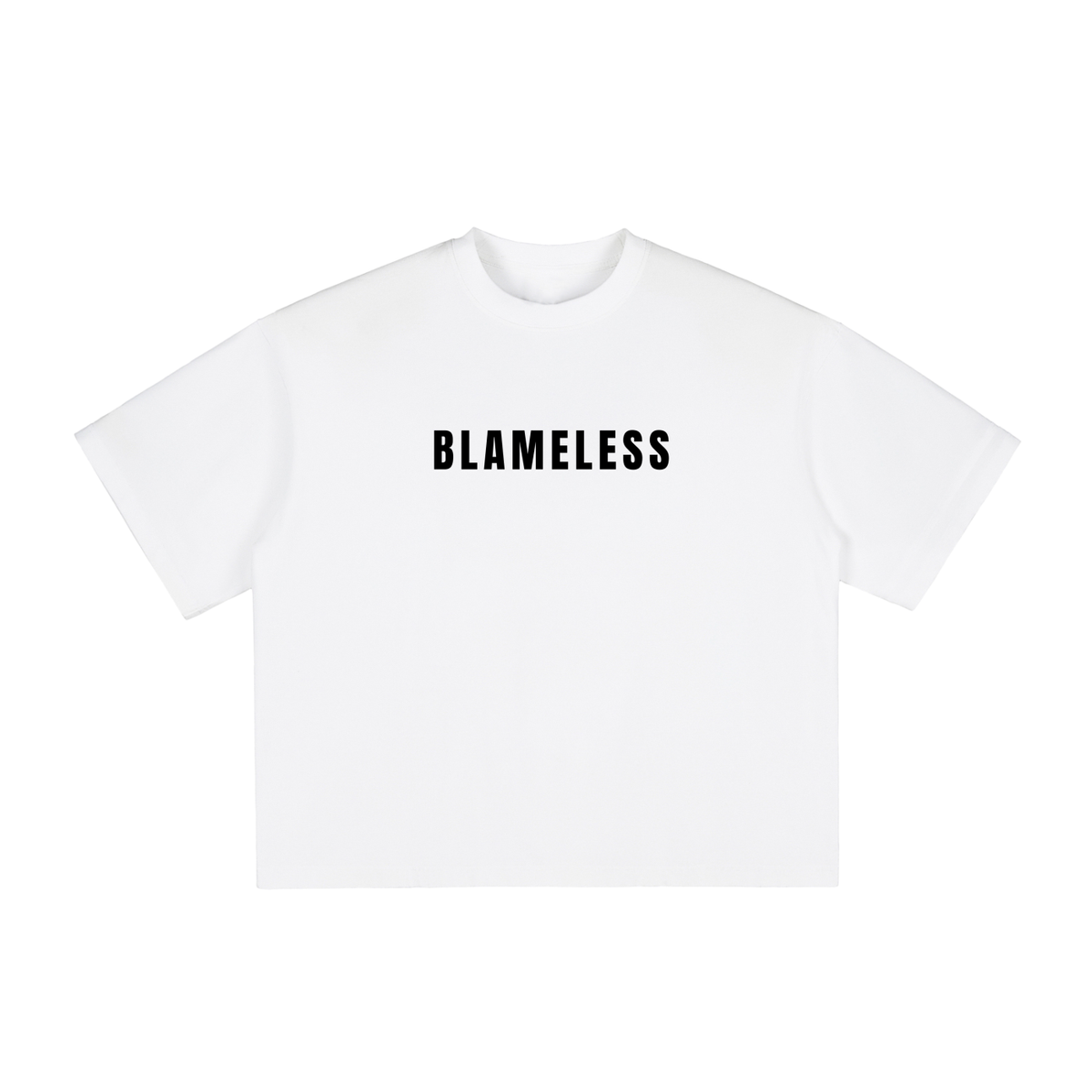 BLAMELESS Vintage Washed Boxy T-Shirt 