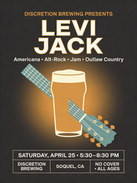 Levi Jack at Discretion Brewing 