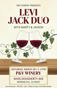 Levi Jack Duo,  Unplugged at P&V   feat Marty & Jaxson