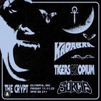 Kadabra | Tigers On Opium | Sorcia