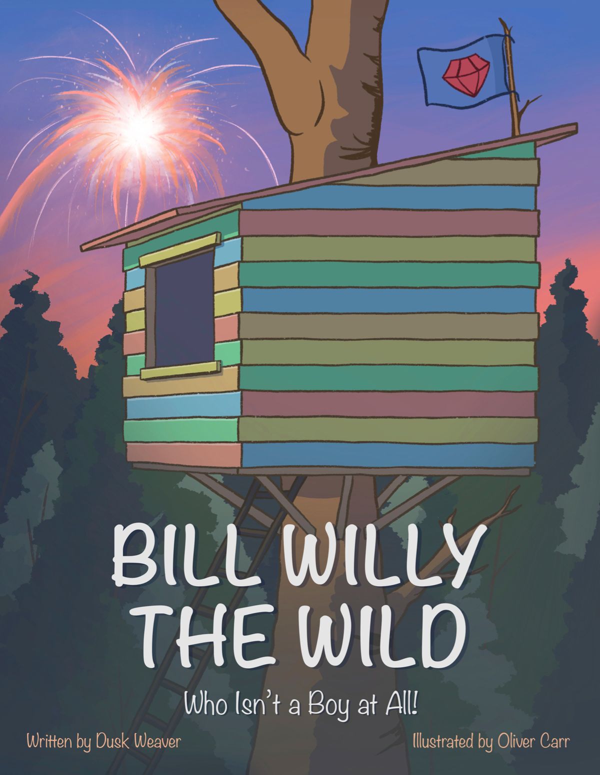Bill Willy the Wild...Who Isn't a Boy at All! (holiday adventure book for the whole family)
