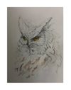 Wall Art- Snow Owl