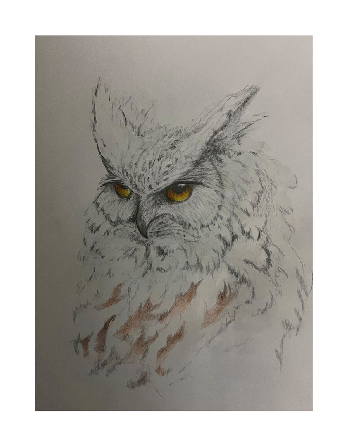 Wall Art- Snow Owl