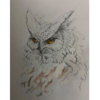 Wall Art- Snow Owl