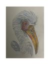 Wall Art-CooCoo Bird