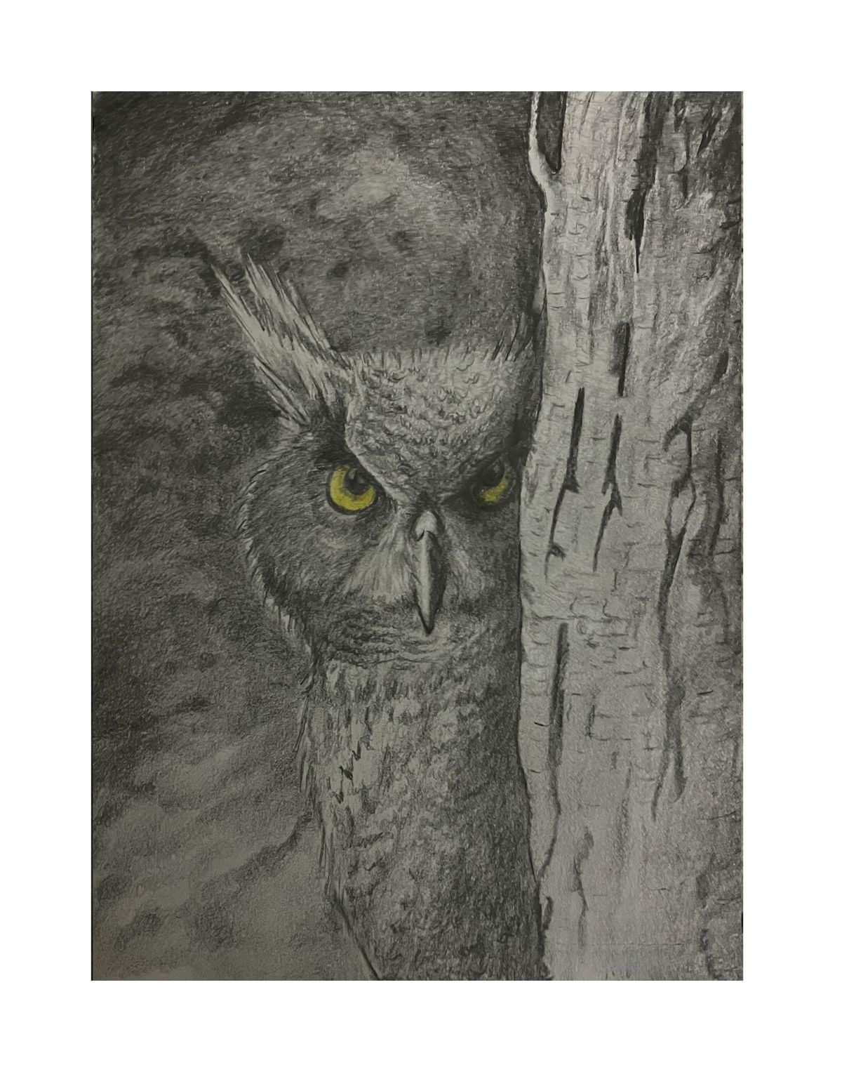 Wall Art- Hiding Owl