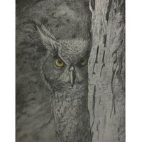Wall Art- Hiding Owl