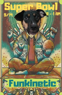 Funkinetic plays The Superbowl (Part II)