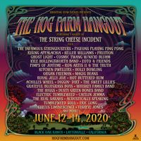 The Hog Farm Hangout Music Festival