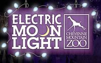 Electric Moonlight