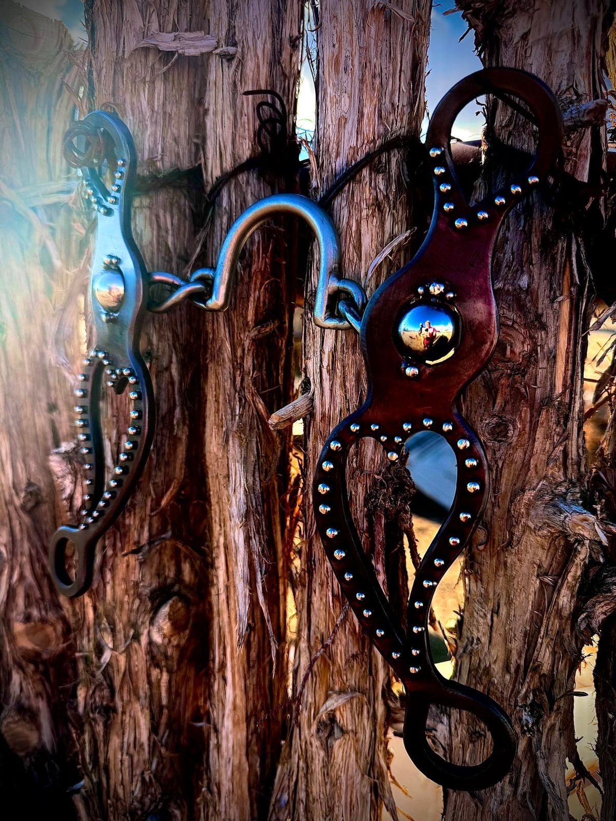 The Heart 9" Steel