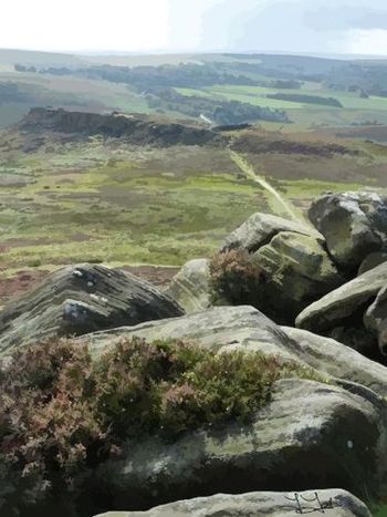 Moorland
