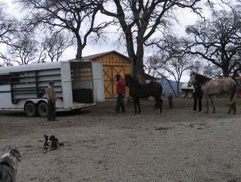 We get to go to Sunny Hawaii! Apolonia and Panorama de Toledano have a flight to catch.

