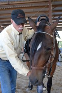 MARK RUSSELL NATURAL DRESSAGE
