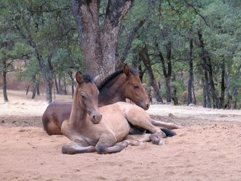 Rest Stop.
