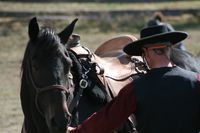 Clay Wright Horsemanship