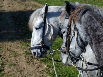 Donoso and Dakota at the end of the ride
