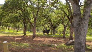 Working trails
