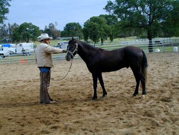 Mark Rashid starts Rancho Toledano colt
