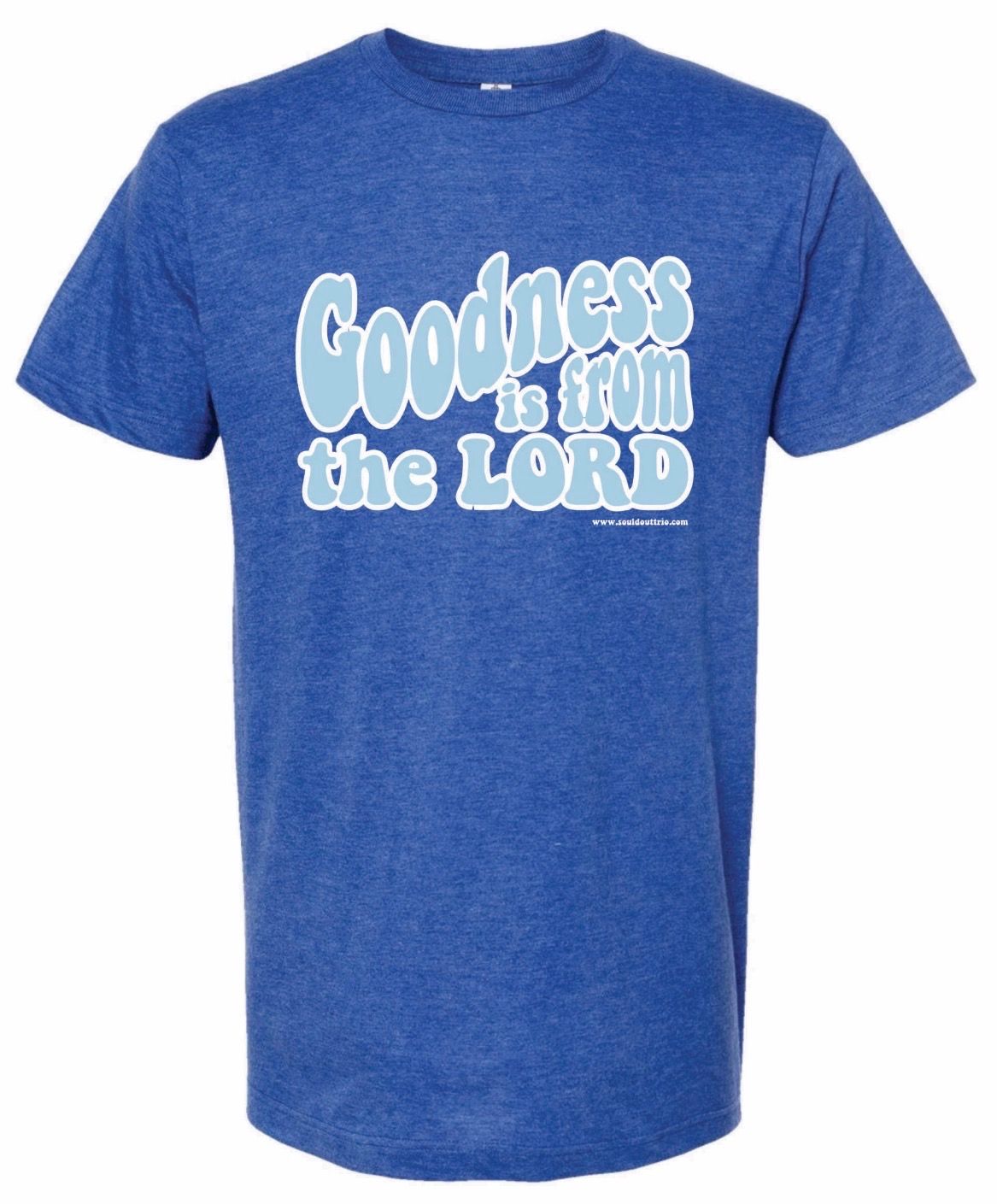 GOODNESS I FROM THE LORD TSHIRT