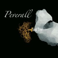 PEVERALL LIVE @ BRIXTON YARD