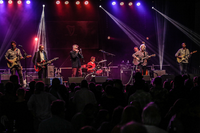 THE PINKS play the blues