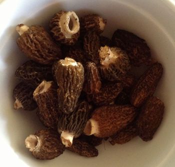 Fresh Morels
