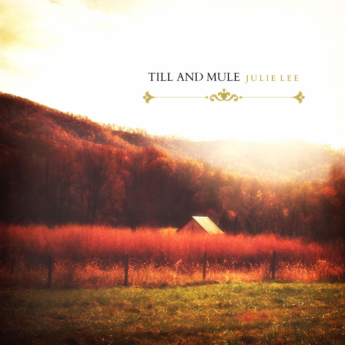 Till & Mule (back in stock!)