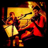 The Red Shed Show (House Concert Series)