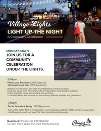 Village Lights- Light up the Night