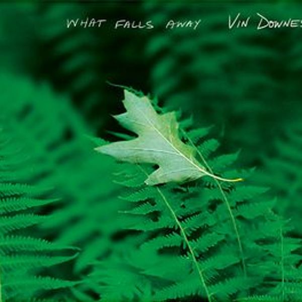 What Falls Away - Sheet Music / TABs