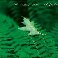 What Falls Away - CD
